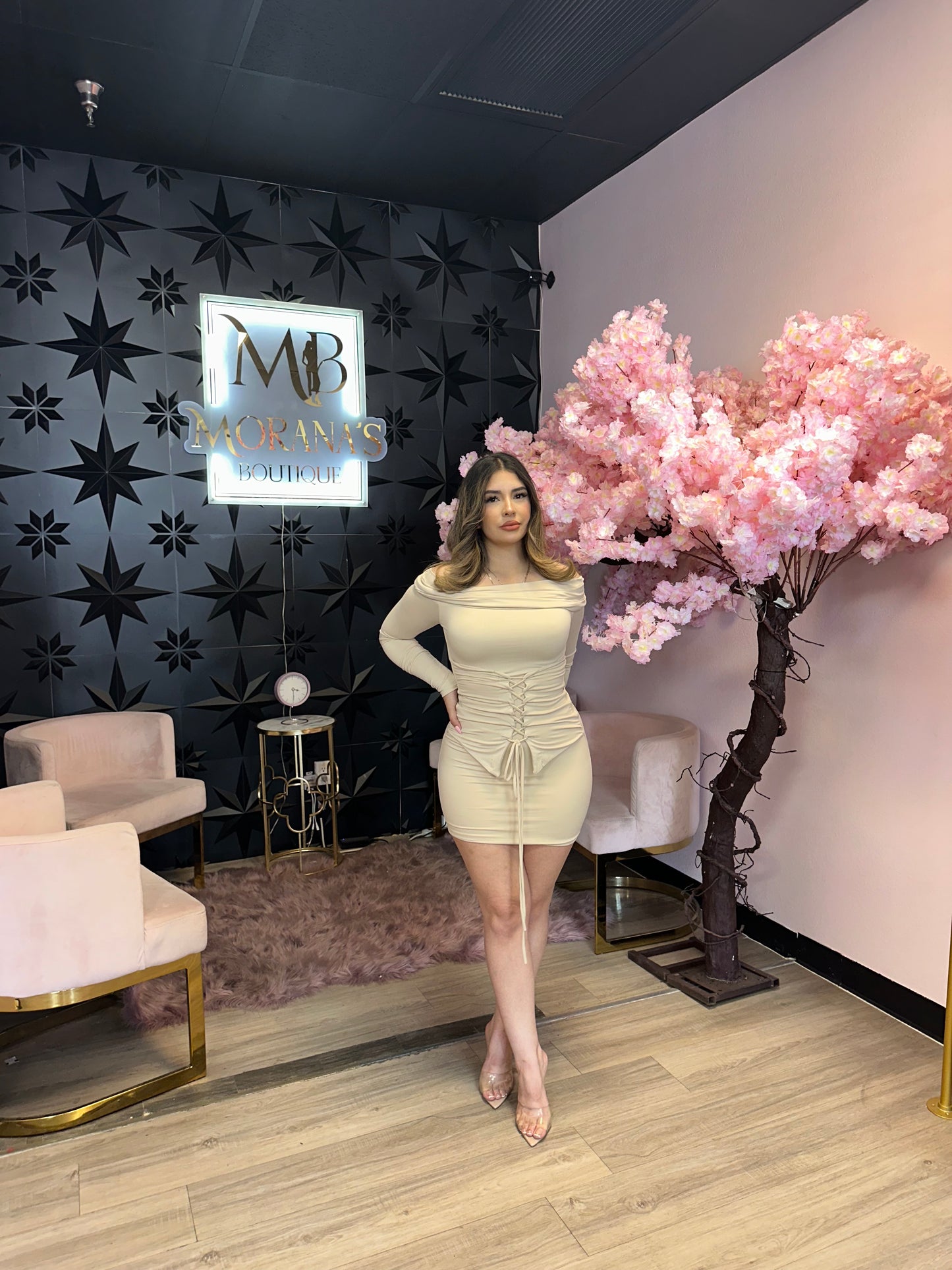 Kiara Corset Mini Dress