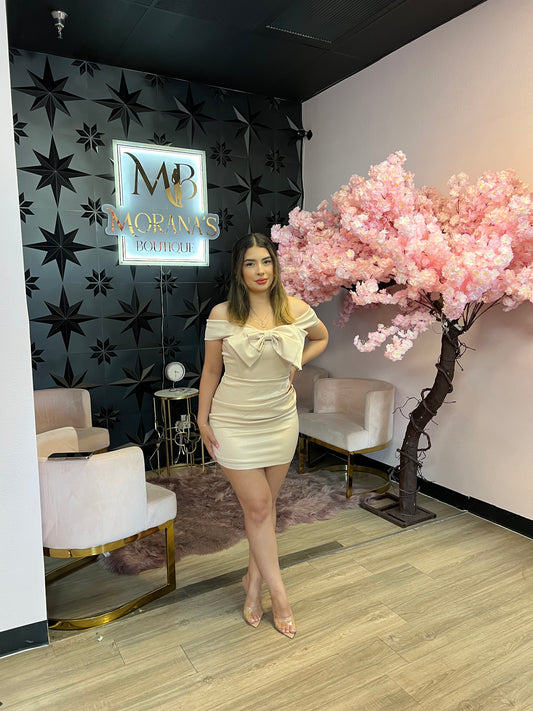 Dulce Bow Front Mini Dress